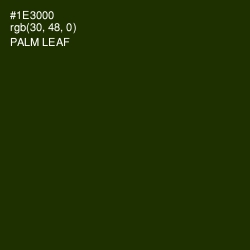 #1E3000 - Palm Leaf Color Image